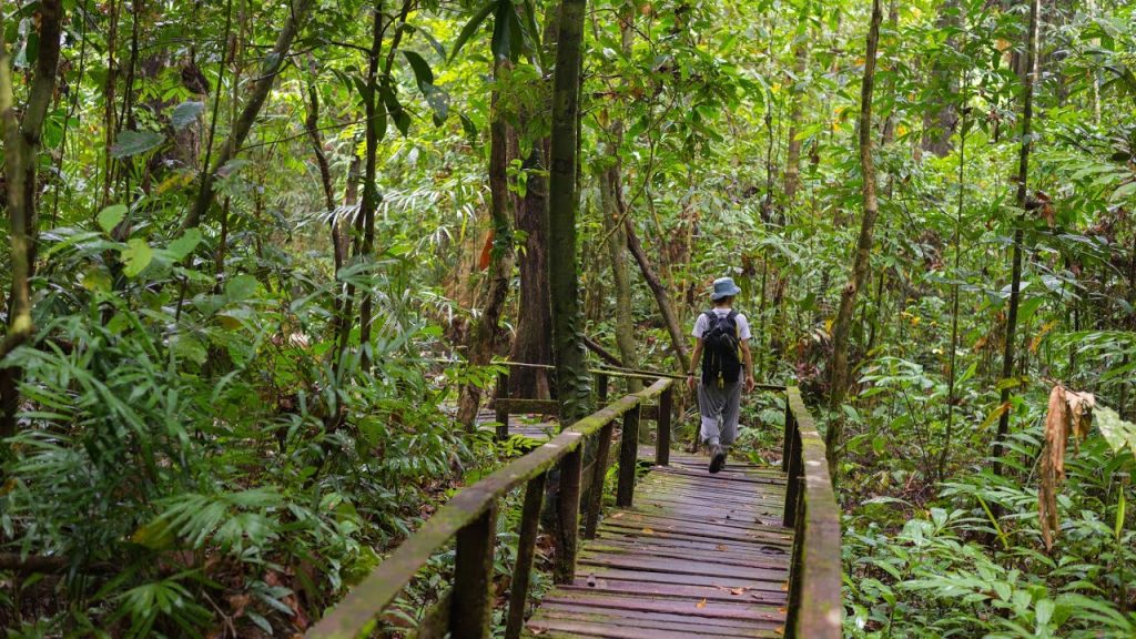 Hiking-in-malaysyia