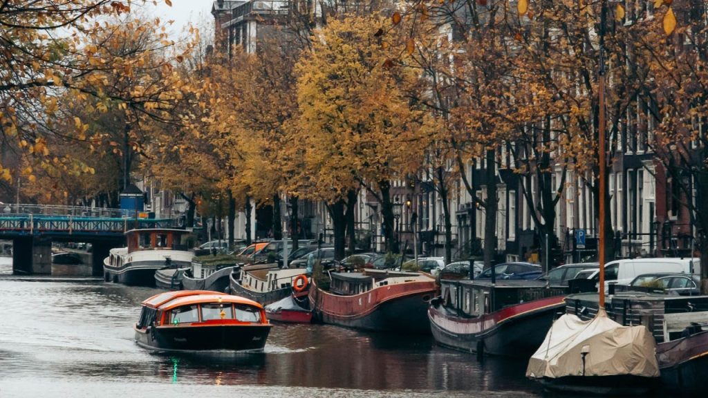dutch-culutre