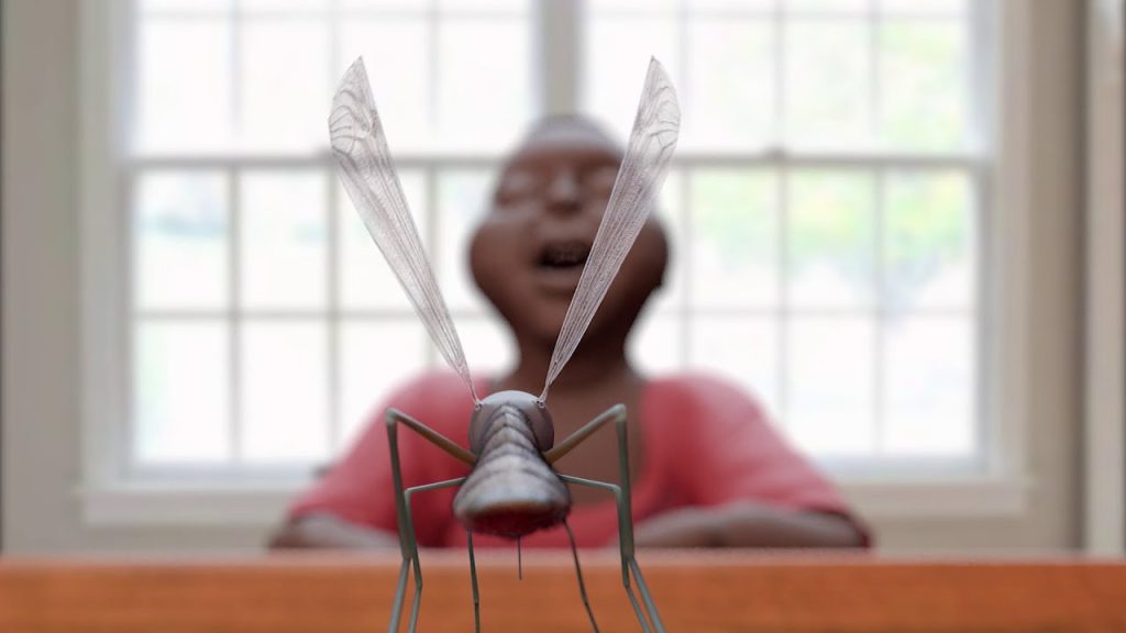 Mosquito Season in jamaica